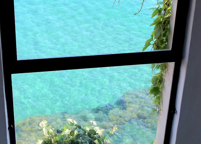 Отель Hotel Palinuro 3*